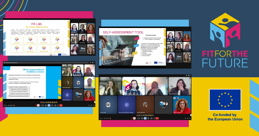 Fit for the Future Webinar on Diversity and Inclusion | Systems Thinking in VET